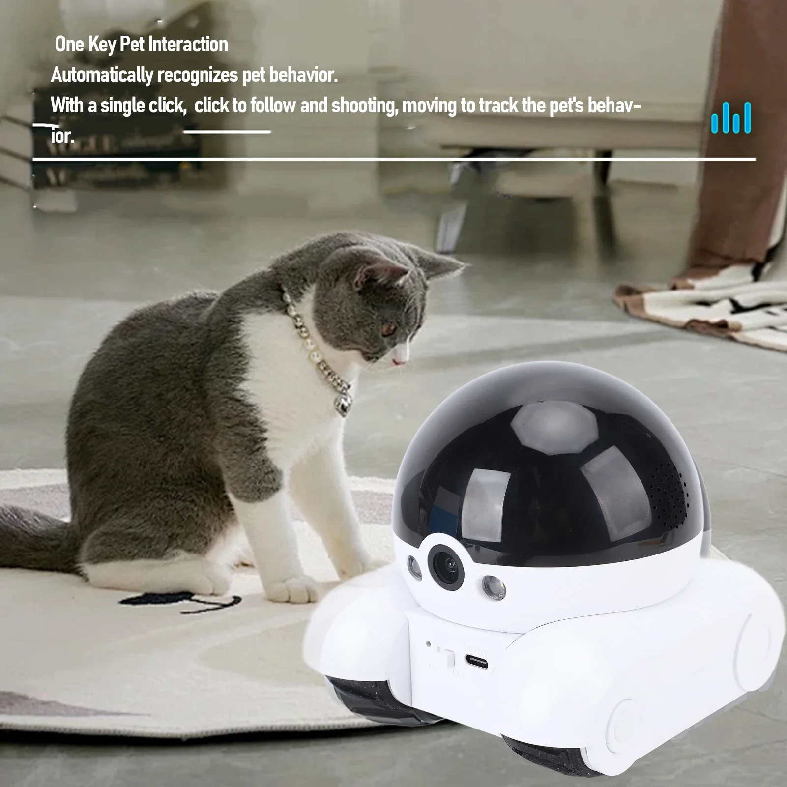 실내 보안 카메라 2MP 듀얼 렌즈 APP 원격 제어  - Home Security Images 리뷰 및 가격